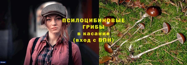 амф Абдулино